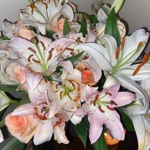 Meet your Posher, Analya